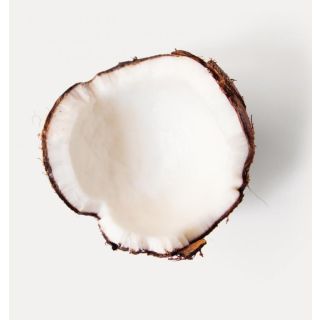 Compra STEVIA REBAUDIANA (500 Semillas) en la tienda online Fito Agrícola