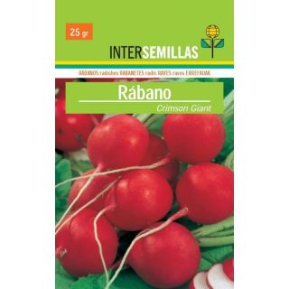 Compra RABANITO REDONDO CRIMSON GIANT (100 gr.). en la tienda online Fito Agrícola