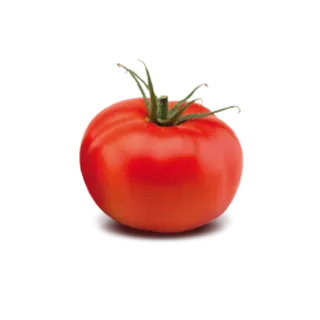 Compra TOMATE CORREDOR F1 (1.000 Semillas) en la tienda online Fito Agrícola