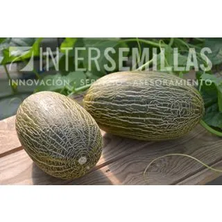 Compra MELÓN GALGO F-1 (1.000 Semillas). en la tienda online Fito Agrícola