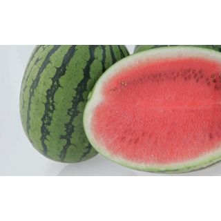 Compra SANDÍA PREMIUM F-1 INJERTADA EPS70 en la tienda online Fito Agrícola