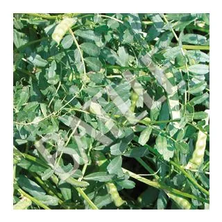 Compra VEZA SATIVA PRONTIVESA R2 (25 Kgr.) en la tienda online Fito Agrícola