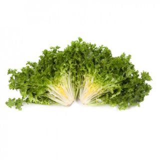 Compra ESCAROLA WALLONNE MONACO RZ Pildorada (5.000 Semillas). en la tienda online Fito Agrícola