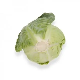 Compra COL TOUGHMA RZ F1 Precisión (2.500 Semillas). en la tienda online Fito Agrícola