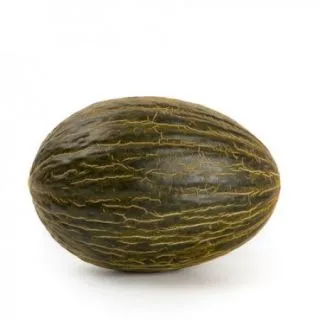 Compra MELÓN BRAVURA RZ F1 Precisión (1.000 Semillas). en la tienda online Fito Agrícola