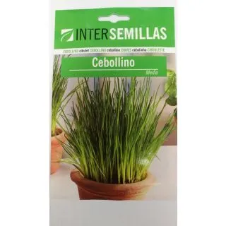 Compra CEAPĂ VERDE MEDIE (1 gr.). en la tienda online Fito Agrícola