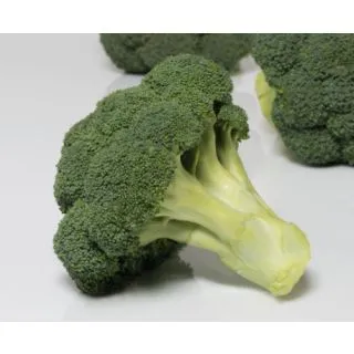 Compra BROCOLI COVINA F1 Precisión ECOLÓGICO (10.000 Semillas). en la tienda online Fito Agrícola
