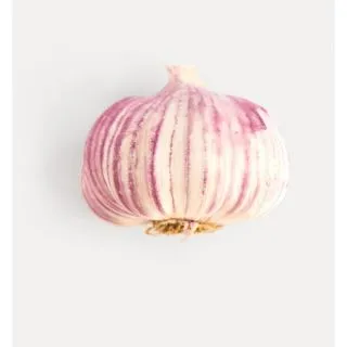 Compra BUSUIOC GENOVEZ (25 gr.). en la tienda online Fito Agrícola