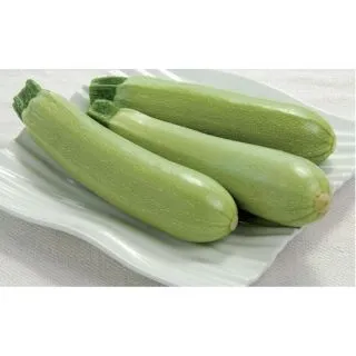 Compra CALABACÍN AMALTHEE F1 BIO (1.000 Semillas) en la tienda online Fito Agrícola