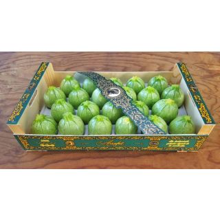 Compra CALABACÍN GEODE F1 BIO (1.000 Semillas) en la tienda online Fito Agrícola