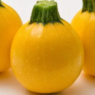 Compra CALABACÍN LUNEOR F1 (1.000 Semillas) en la tienda online Fito Agrícola