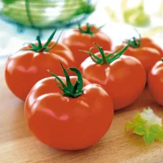 Compra TOMATE BRENTYLA F1 BIO (1.000 Semillas) en la tienda online Fito Agrícola