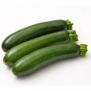 Compra CALABACÍN NORIAC F1 (1.000 Semillas) en la tienda online Fito Agrícola