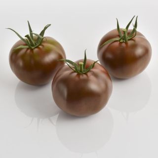 Compra TOMATE KAKAO F1 (1000 Semillas). en la tienda online Fito Agrícola