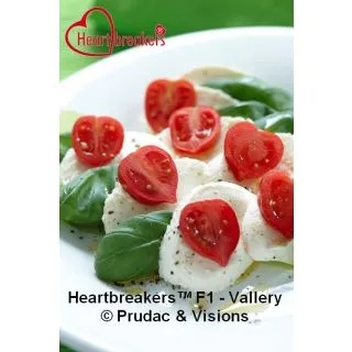 Compra TOMATE VALLERY F1 (1000 Semillas) en la tienda online Fito Agrícola