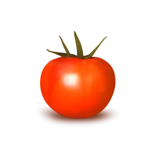 Compra TOMATE MARION F1 (1.000 Semillas) en la tienda online Fito Agrícola