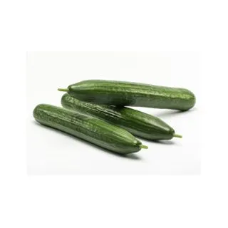 Compra PEPINO BATALLÓN F1 (1000 Semillas). en la tienda online Fito Agrícola