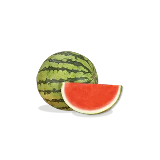 Compra SANDÍA LEOPARD F1 (1.000 Semillas) en la tienda online Fito Agrícola