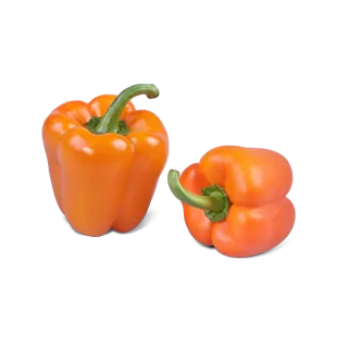 Compra PIMIENTO ZOHAR F-1 (1.000 Semillas) en la tienda online Fito Agrícola