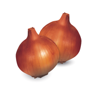 Compra CEBOLLA ORLANDO F1 Calibrada (100.000 Semillas). en la tienda online Fito Agrícola