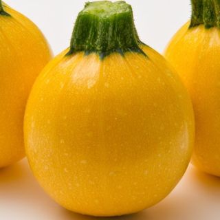 Compra CALABACÍN LUNEOR F1 BIO (1.000 Semillas) en la tienda online Fito Agrícola