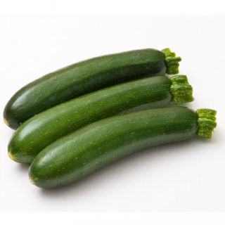 Compra CALABACÍN NORIAC F1 BIO (1.000 Semillas) en la tienda online Fito Agrícola