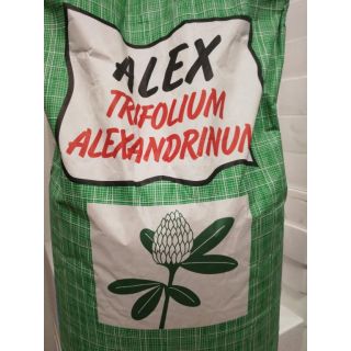Compra TRÉBOL ALEJANDRÍA ALEX Inoculado y Pildorado (25 Kgr.) en la tienda online Fito Agrícola