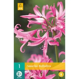 Compra AMARINE BELLADIVA (25 Unid.). en la tienda online Fito Agrícola