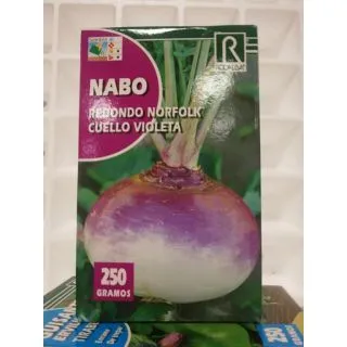 Compra NABO REDONDO NORFOLK CUELLO VIOLETA (250 gr.). en la tienda online Fito Agrícola