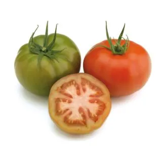 Compra TOMATE VELASCO F1 (1.000 Semillas) en la tienda online Fito Agrícola