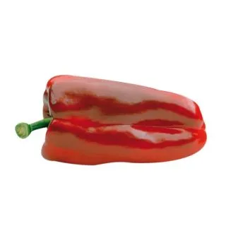 Compra ARDEI MIRADOR F1 (1000 semințe). en la tienda online Fito Agrícola