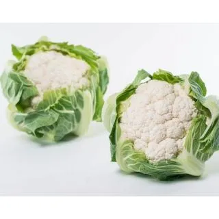 Compra COLIFLOR OMERIS F1 Vilsem (2.500 Semillas). en la tienda online Fito Agrícola