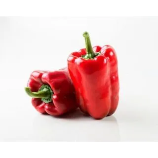 Compra PIMIENTO MYLES F1 (1.000 Semillas) en la tienda online Fito Agrícola