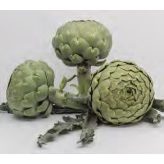 Compra ALCACHOFA SAMBO F1 (1.000 Semillas) en la tienda online Fito Agrícola