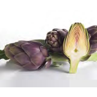 Compra ALCACHOFA CAPRICCIO F1 (1.000 Semillas) en la tienda online Fito Agrícola