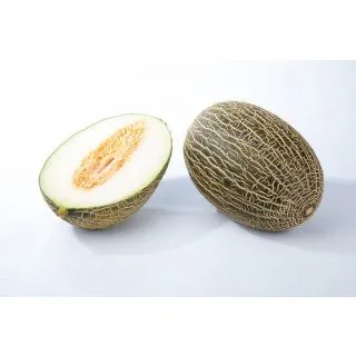 Compra MELÓN ARROYO (1.000 Semillas). en la tienda online Fito Agrícola