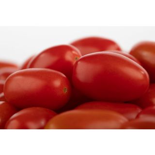Compra TOMATE MULAN F1 (1.000 Semillas) en la tienda online Fito Agrícola