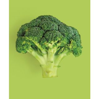 Compra NABO CLOVIS F1 (50.000 Semillas). en la tienda online Fito Agrícola