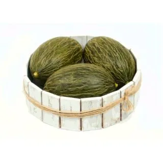 Compra MELÓN ALCAREZ F1 (1000 Semillas). en la tienda online Fito Agrícola