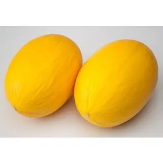 Compra MELÓN AMBARINO F1 (1000 Semillas). en la tienda online Fito Agrícola