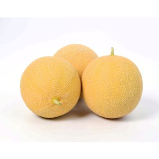 Compra MELÓN ESTELAR F1 (1000 Semillas). en la tienda online Fito Agrícola