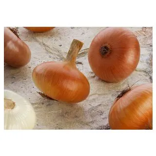 Compra CEBOLLA AMARILLA PAJA VIRTUDES (500 gr.). en la tienda online Fito Agrícola