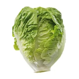 Compra LECHUGA GARBO Pildorada (5.000 Semillas) en la tienda online Fito Agrícola
