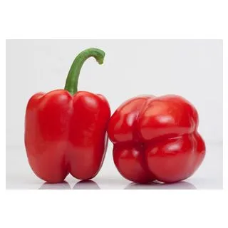 Compra ARDEI ERCINA F1 (1.000 semințe) en la tienda online Fito Agrícola