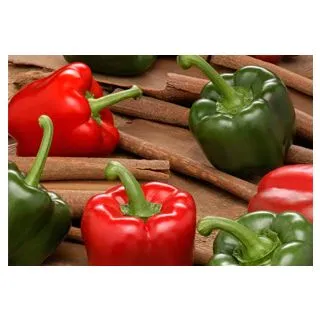 Compra PIMIENTO TESÓN F1 (1.000 Semillas) en la tienda online Fito Agrícola