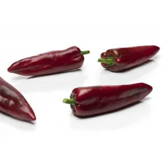 Compra ARDEI GAITANES F1 (1.000 semințe) en la tienda online Fito Agrícola