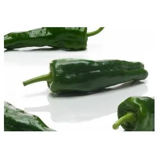 Compra ARDEI BOHEMIA F1 (1.000 semințe) en la tienda online Fito Agrícola