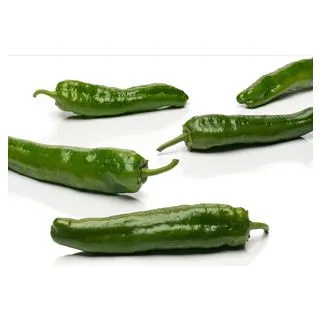 Compra PIMIENTO ÉBOLI F1 (1.000 Semillas) en la tienda online Fito Agrícola