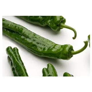 Compra PIMIENTO RIGOLETTO F1 (1.000 Semillas) en la tienda online Fito Agrícola