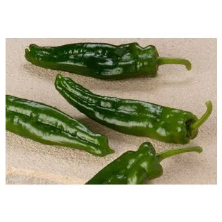 Compra PIMIENTO VEGAS F1 (1.000 Semillas) en la tienda online Fito Agrícola